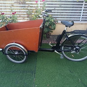 Bici triciclo de carga