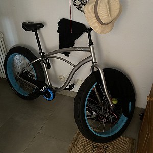 Fat bike