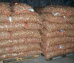Transport 8T ziemniaków-Zachodniopomorskie