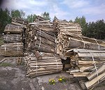 20 mp drewna powiązane w paczkach oraz w workach