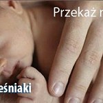 Envío Pół kg ulotek na konferencję o żywieniu niemowląt