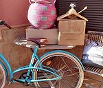 1 bicicleta, 2 cajas, 1 cesta rellena, perchas, 1 saco de arena de gato - > A Bélgica