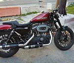 Harley davidson roadster 1200