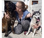 2 perras: 1 Husky Siberiano (15kg), 1 Perra de Presa Canario (45kg)
