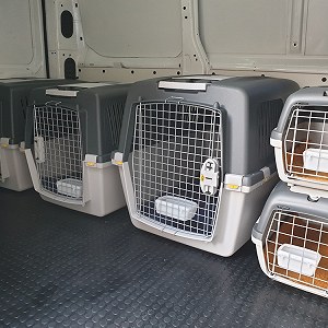 Transporte mascotas